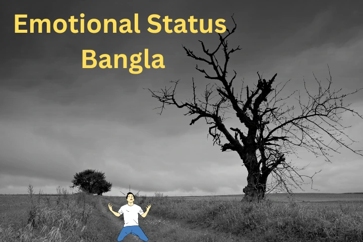 Emotional Status Bangla