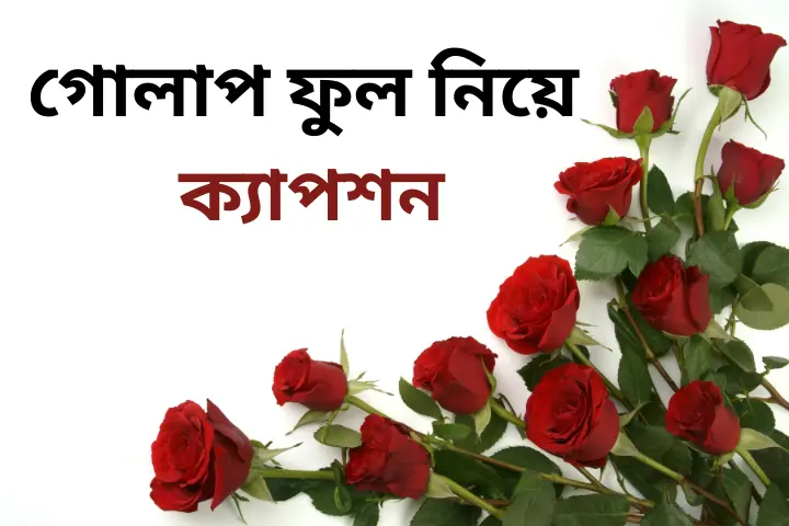 গোলাপ ফুল নিয়ে ক্যাপশন
