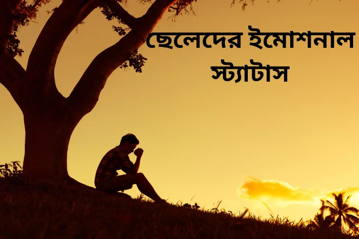 ছেলেদের ইমোশনাল স্ট্যাটাস