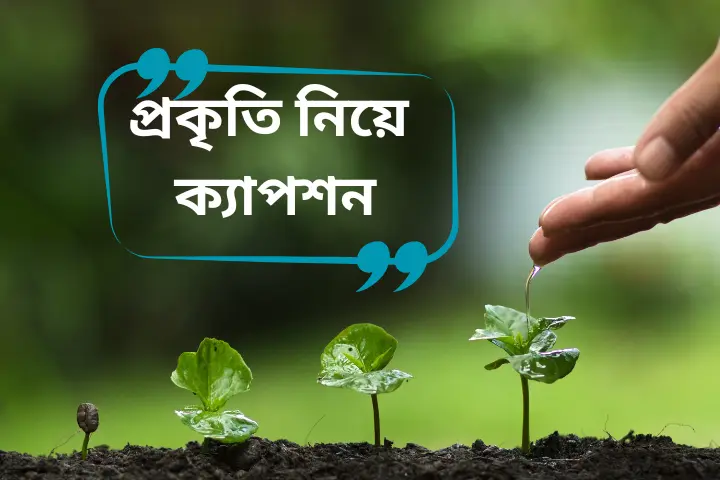 প্রকৃতি নিয়ে ক্যাপশন