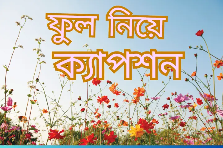 ফুল নিয়ে ক্যাপশন