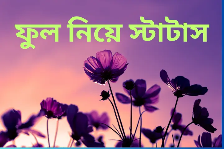 ফুল নিয়ে স্টাটাস