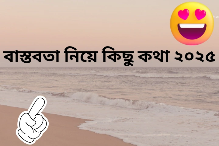 বাস্তবতা নিয়ে কিছু কথা ২০২৫