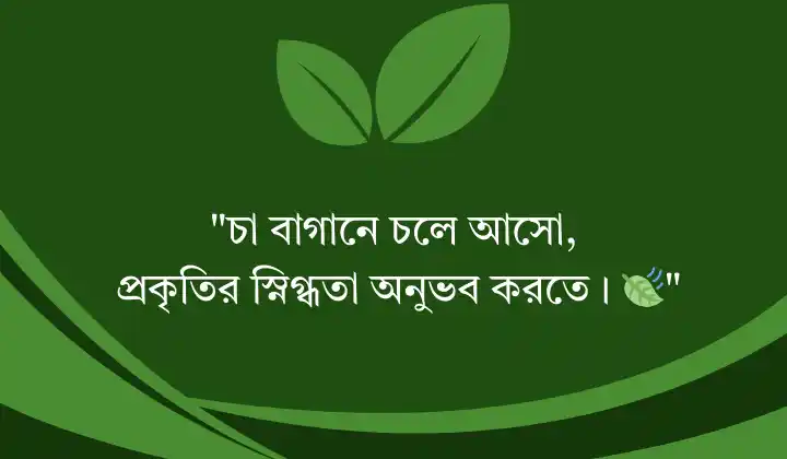 চা বাগান নিয়ে ক্যাপশন