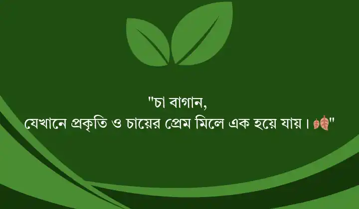 প্রকৃতি ও চা বাগান নিয়ে ক্যাপশন