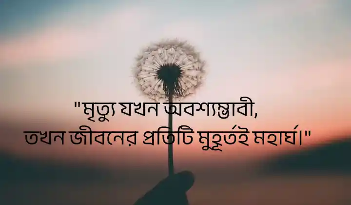 ক্ষণস্থায়ী জীবন নিয়ে উক্তি