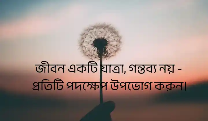 জীবন নিয়ে ক্যাপশন