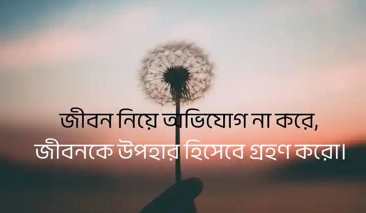 জীবন নিয়ে স্ট্যাটাস