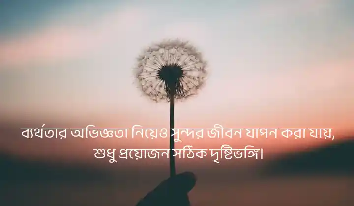 সুন্দর জীবন নিয়ে স্ট্যাটাস